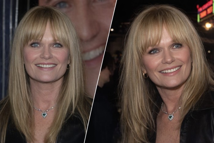 ¿Quién es Valerie Perrine?